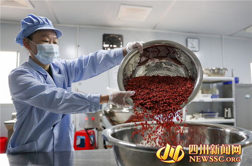 廣安鄉村微工廠 富硒食品生產忙，點燃鄉村振興新引擎