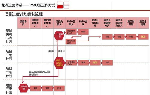 龍湖集團(tuán)高效PMO項(xiàng)目管理體系研究與實(shí)踐