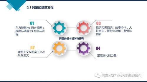 阿里巴巴組織能力建設(shè)的核心密碼 從文化、戰(zhàn)略到人才的三維驅(qū)動(dòng)