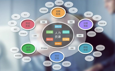 企業(yè)管理軟件與咨詢 雙輪驅(qū)動(dòng)，賦能企業(yè)數(shù)字化轉(zhuǎn)型