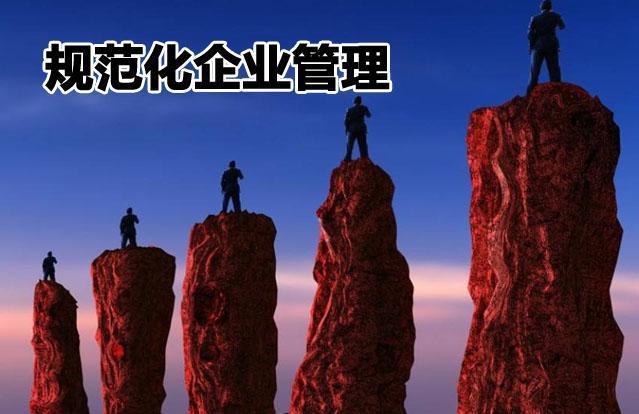 規(guī)范化企業(yè)管理體系三大支柱與九要素