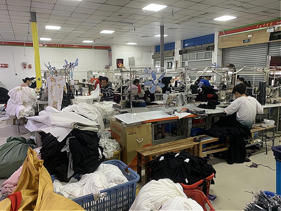 專業(yè)指南:在農村開設服裝加工廠的利與弊